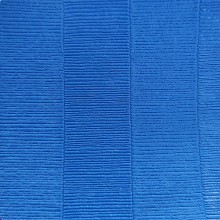 Flexi-Roll® 4cm 5,4m x 5,4m paille de riz bleu Multidisciplines