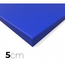 Tatamis MMA lisse bleu 5cm 2m x 1m Dessous antidérapant