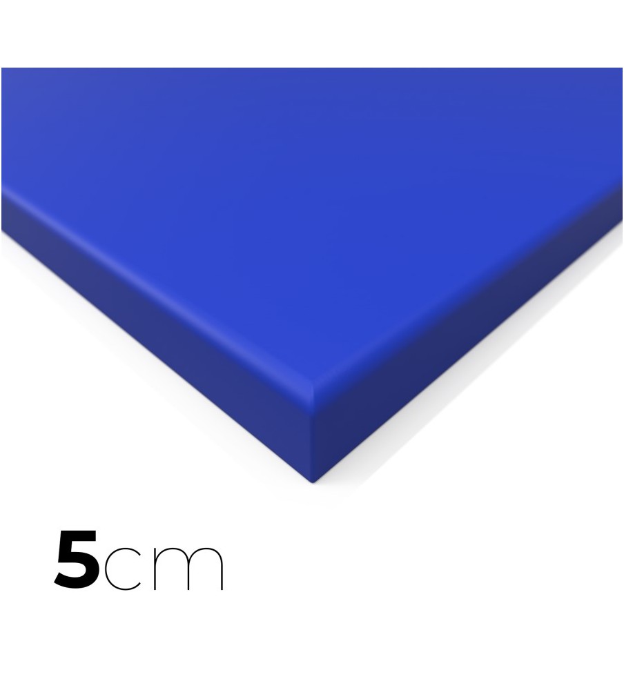 Tatamis MMA lisse bleu 5cm 2m x 1m Dessous antidérapant