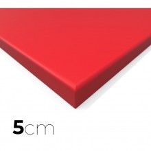 Tatamis MMA lisse rouge 5cm 2m x 1m Dessous antidérapant