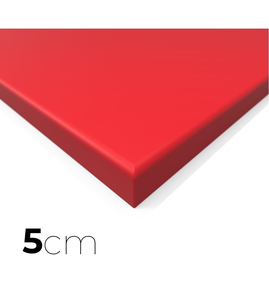 Tatamis MMA lisse rouge 5cm 2m x 1m Dessous antidérapant