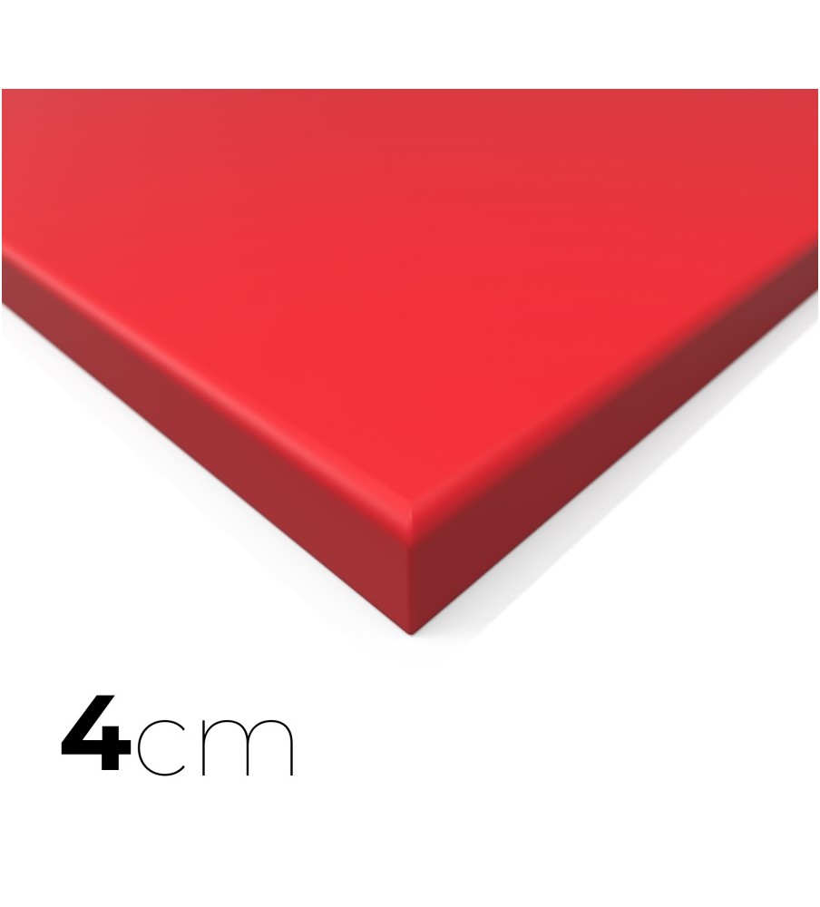 Tatamis MMA lisse rouge 4cm 2m x 1m Dessous antidérapant