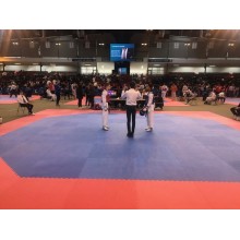 Aire de TaeKwondo 100m² avec octogone