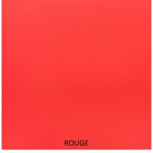 Tatamis MMA lisse rouge 5cm 2m x 1m Dessous antidérapant