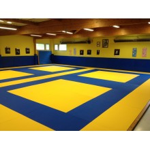 Tatamis MMA lisse bleu 5cm 2m x 1m Dessous nu